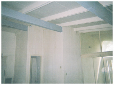 Abandoned House Before Hall