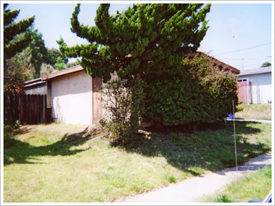 Buried Pool House Before Side