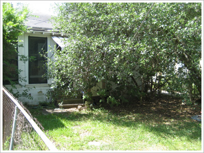 Craftsman Before Backyard