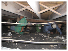 Under the House